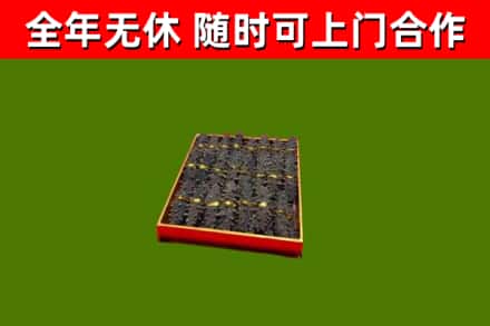 延平回收海参